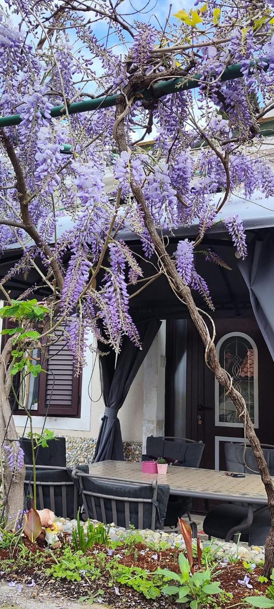 Holiday Home Inga With Free Private Parking Fiume Esterno foto